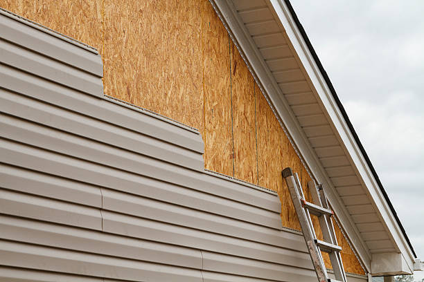 Professional Siding Repair technician working in West Roxbury, MA